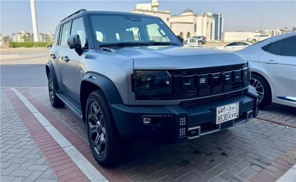 被新能源干趴的国产合资车 跑到海外干趴老外了