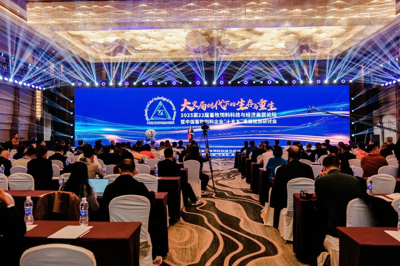 1765264872979729.jpg 1.png.jpg