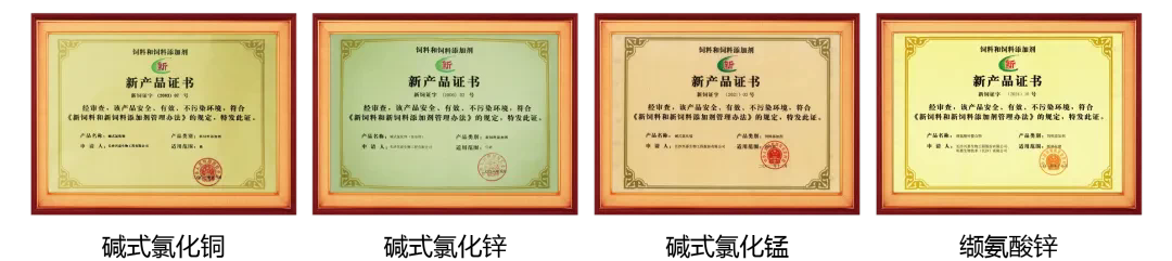 1765265143645515.png 3.png